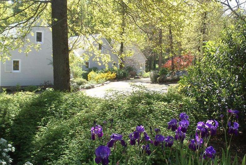 Les Chalets De Saumur, Piscine & Parc Boise, 100M Du Cadrenoir מראה חיצוני תמונה