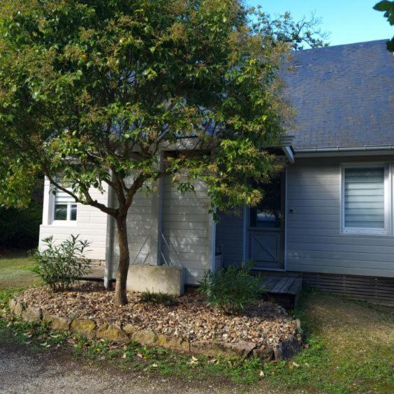 Les Chalets De Saumur, Piscine & Parc Boise, 100M Du Cadrenoir מראה חיצוני תמונה